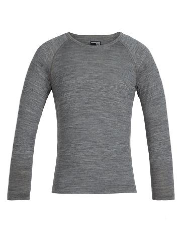 Long Sleeve Icebreaker Merino 200 Oasis Crewe Thermal Top Dziecięce Szare | PL 1003QMAZ